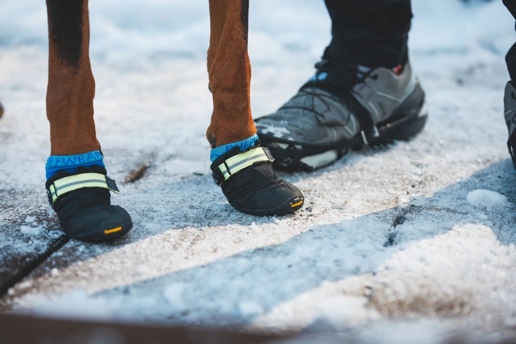 Ruffwear - Summit Trex - Image 3