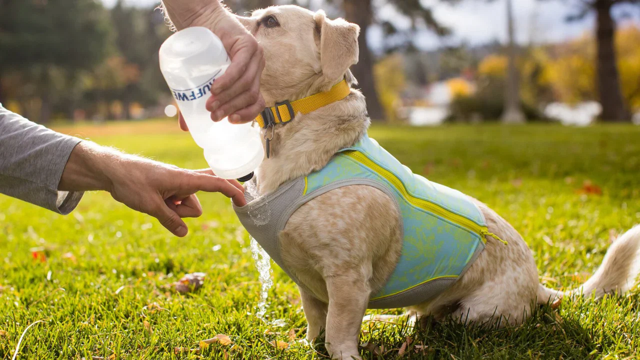 Ruffwear - Swamp Cooler Zip Vest *CLEARANCE*FINAL FEW LEFT* - Image 5