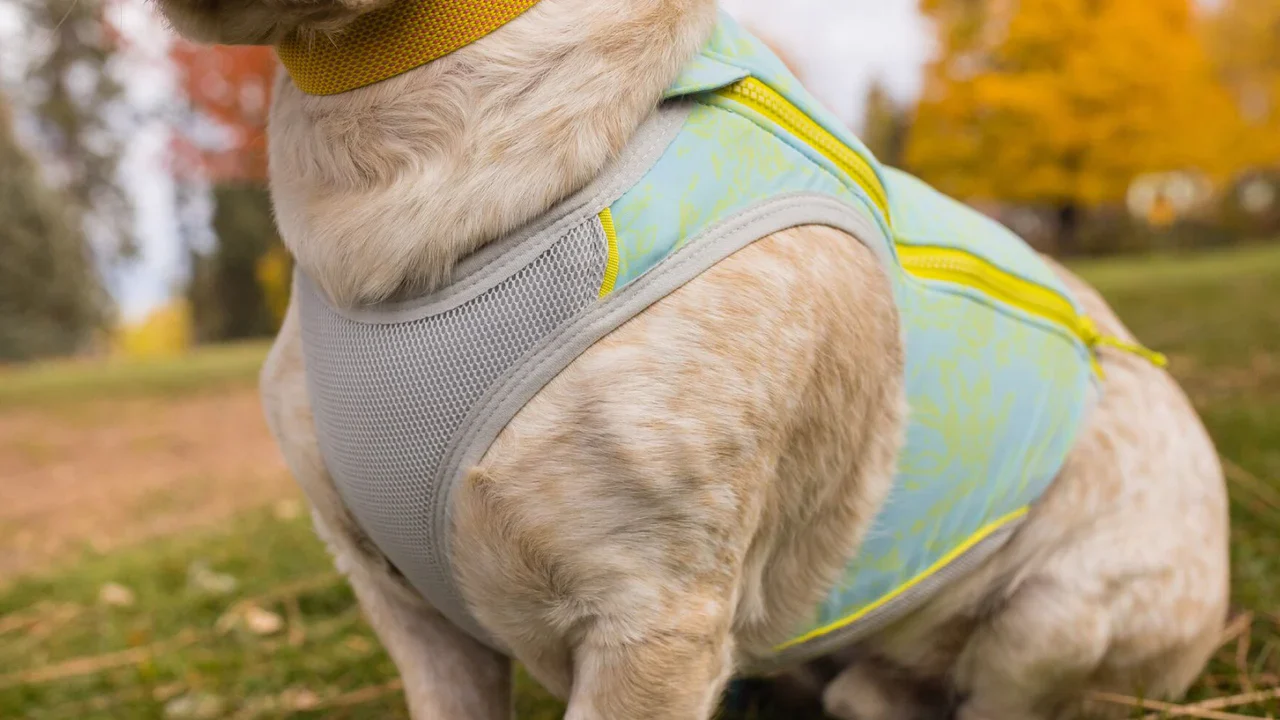 Ruffwear - Swamp Cooler Zip Vest *CLEARANCE*FINAL FEW LEFT* - Image 6