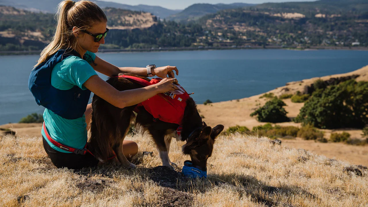 Ruffwear - Switchbak Harness *CLEARANCE*VERY LAST FEW LEFT* - Image 3