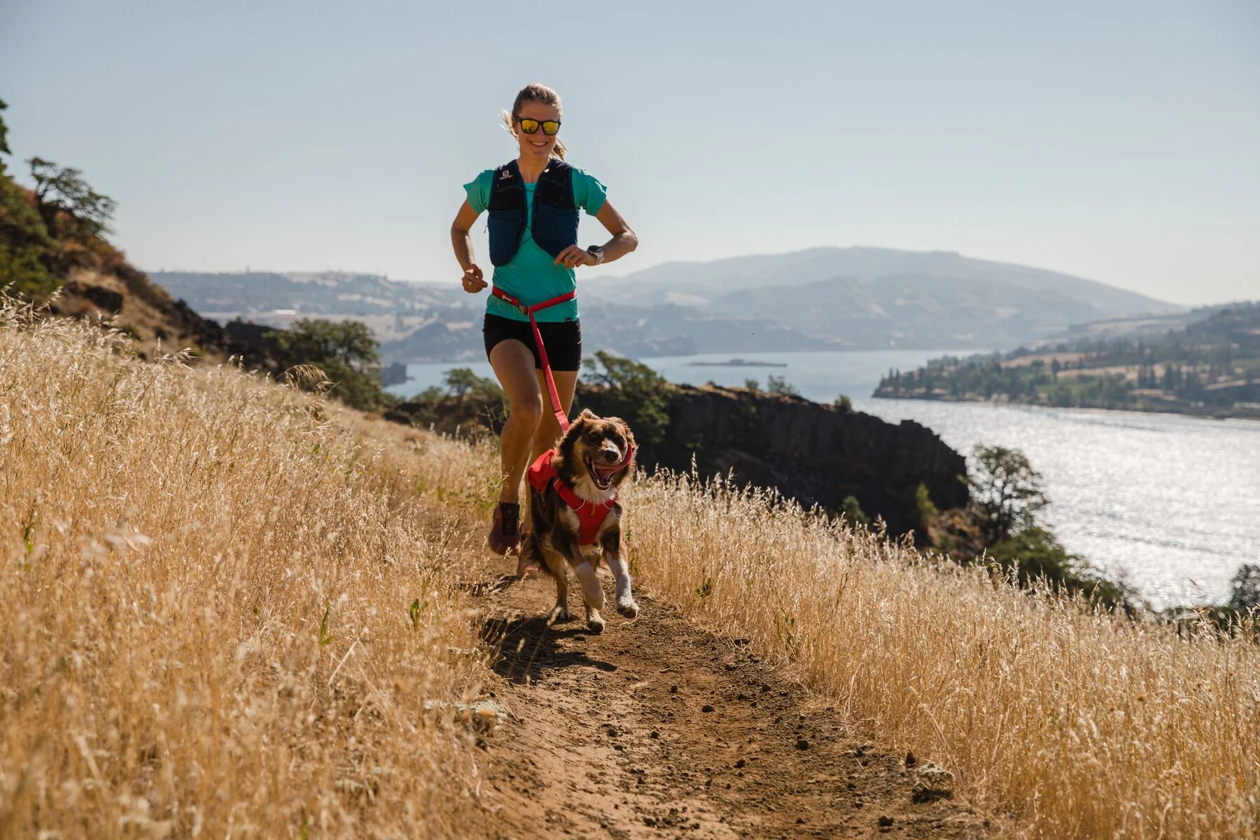 Ruffwear - Switchbak Harness *CLEARANCE*VERY LAST FEW LEFT* - Image 4