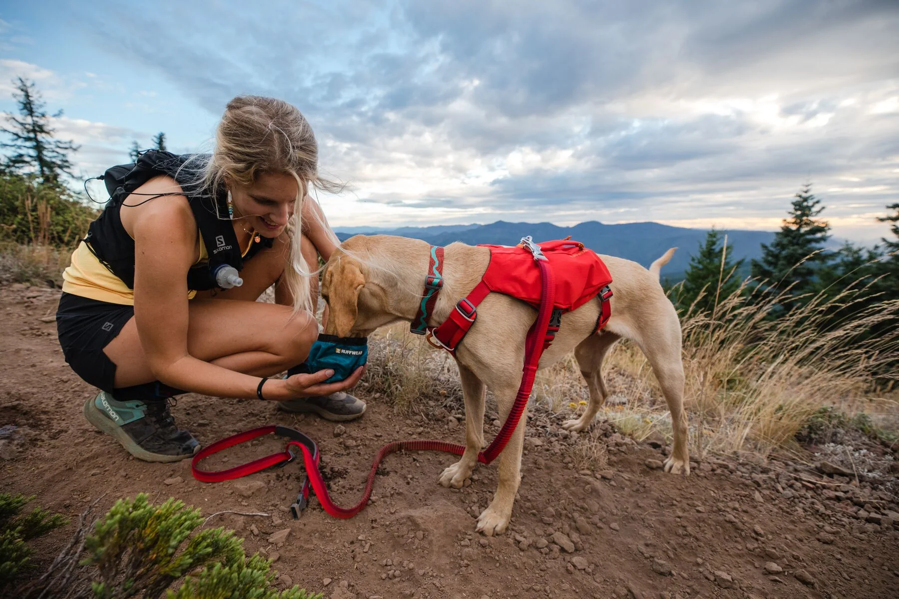 Ruffwear - Switchbak Harness *CLEARANCE*VERY LAST FEW LEFT* - Image 6