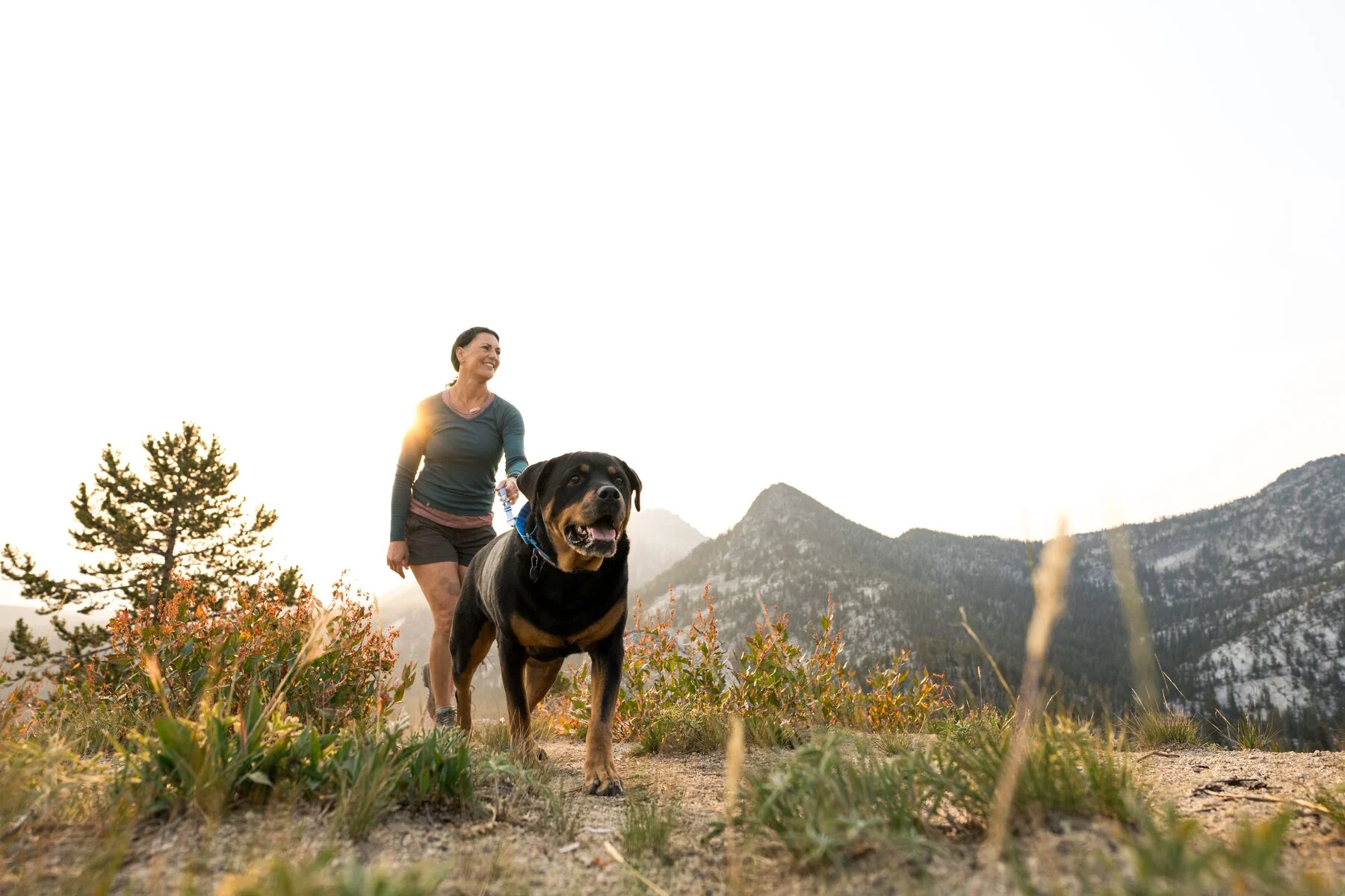 Ruffwear - Switchbak Adjustable 2 End Leash - Image 5