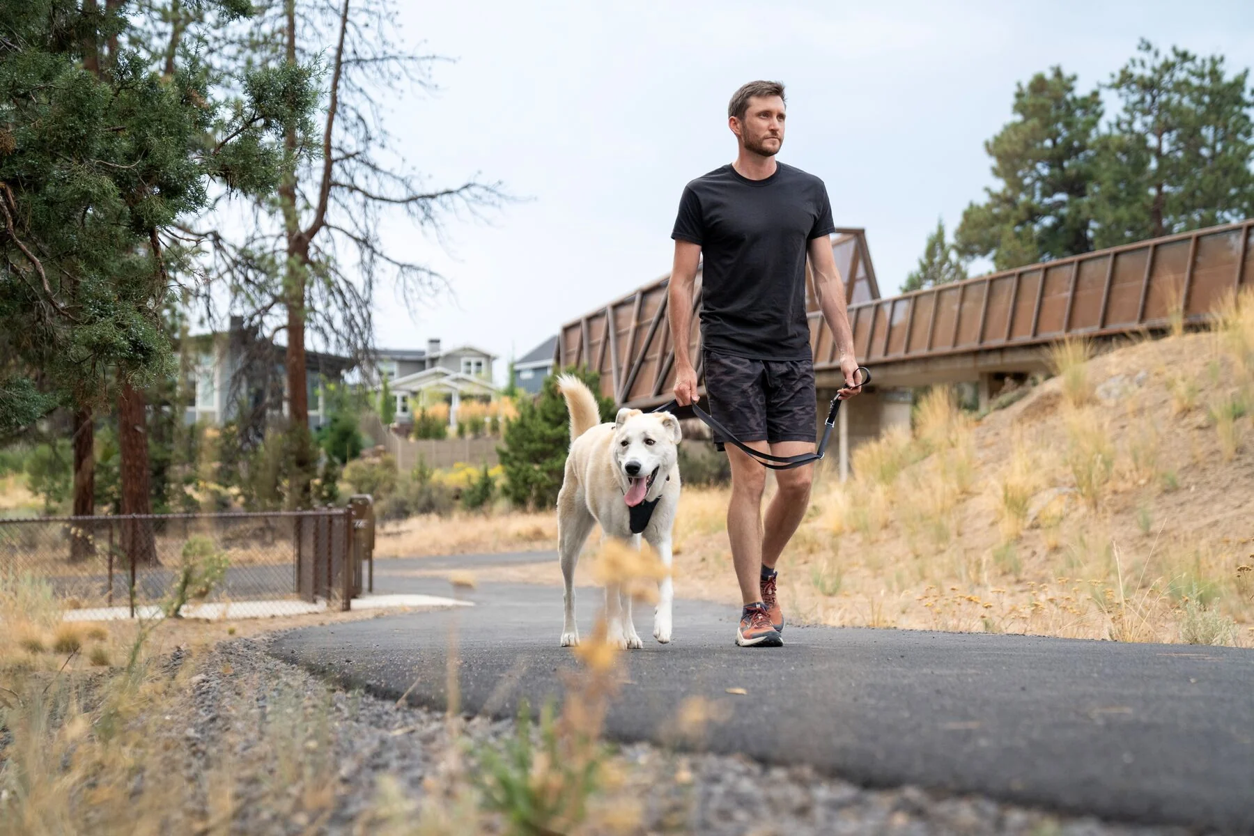 Ruffwear - Switchbak Adjustable 2 End Leash - Image 6