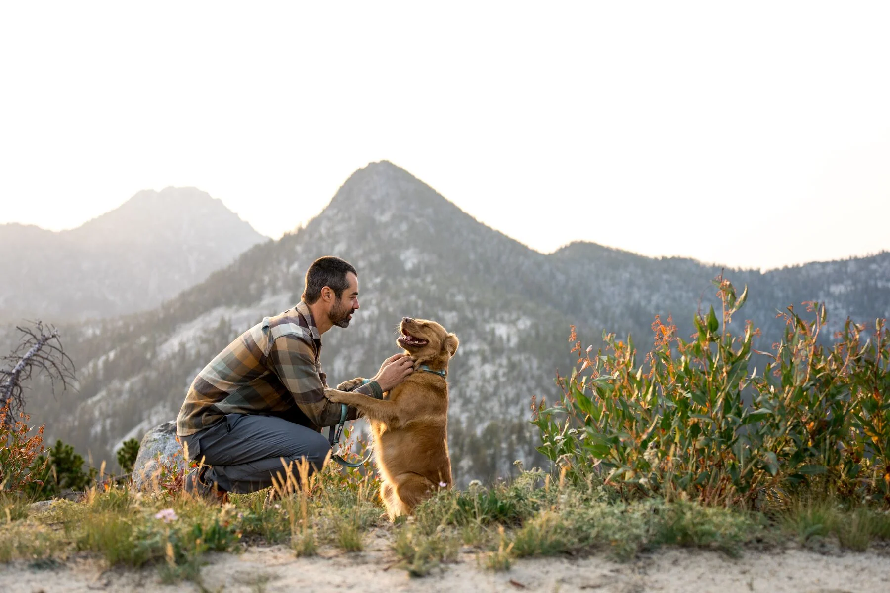 Ruffwear - Switchbak Adjustable 2 End Leash - Image 7