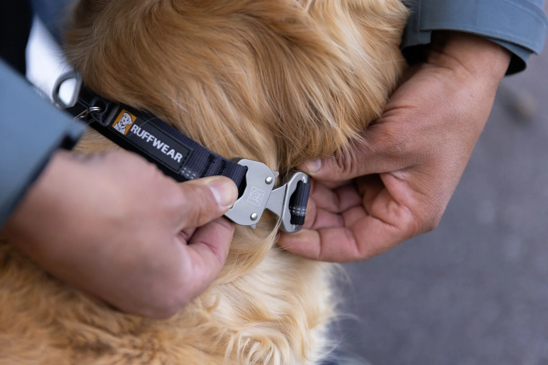 Ruffwear - Top Rope - Image 4