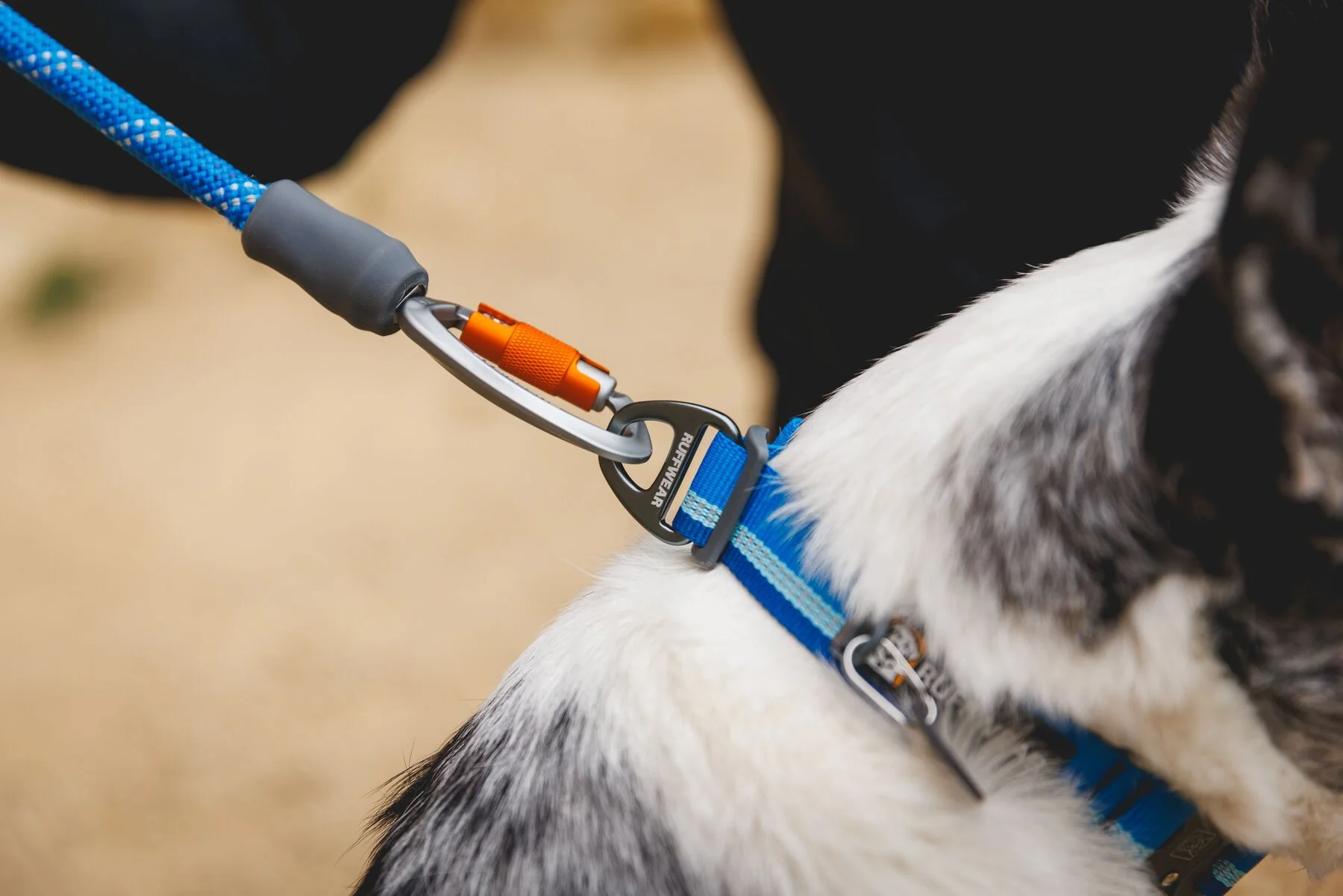 Ruffwear - Top Rope - Image 6
