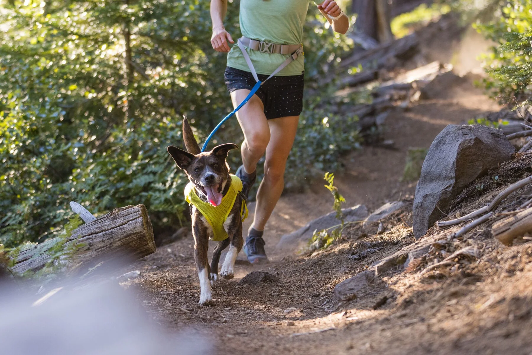 Ruffwear - Trail Runner Leash - Image 4