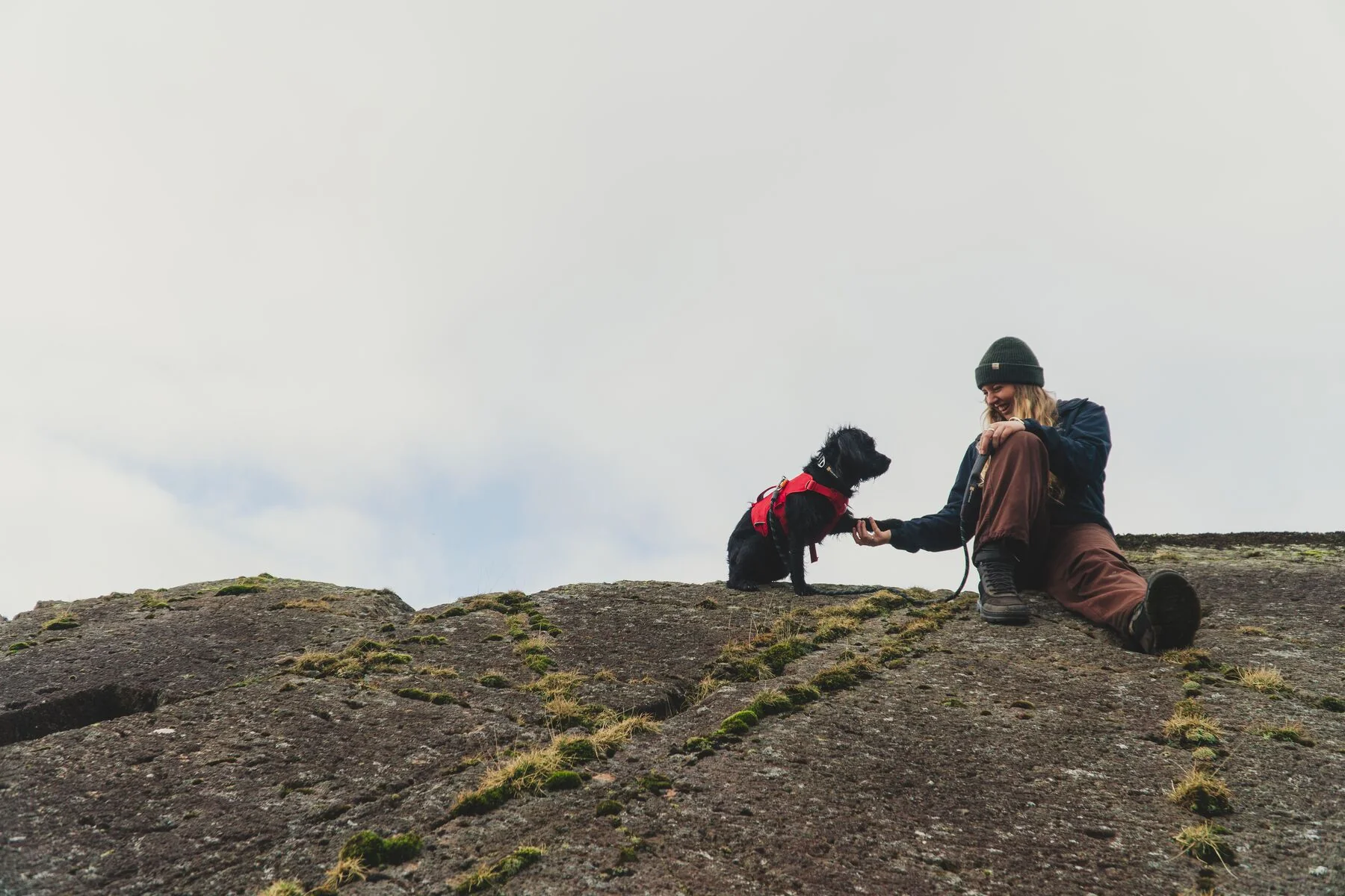 Ruffwear - Web Master Harness - Image 15