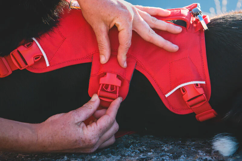Ruffwear - Web Master Harness - Image 9