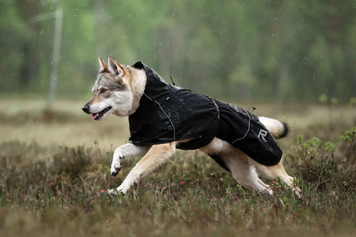 Rukka - Hayton ECO Raincoat - Image 5